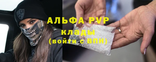 PSILOCYBIN Новозыбков